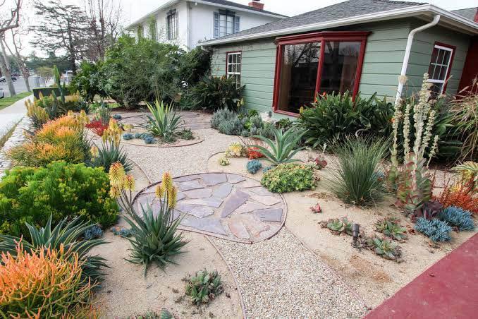 A drought-tolerant front yard by AZ Turf and Pavers features succulents, agave, and desert plants in gravel and sandy soil, with a stone path leading to a green house with red trim.